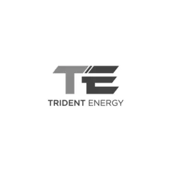 Parceiro Trident Energy